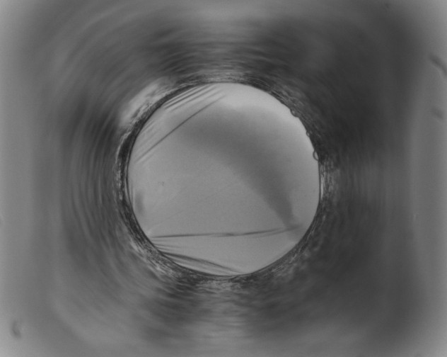 X0000098190339200805221523