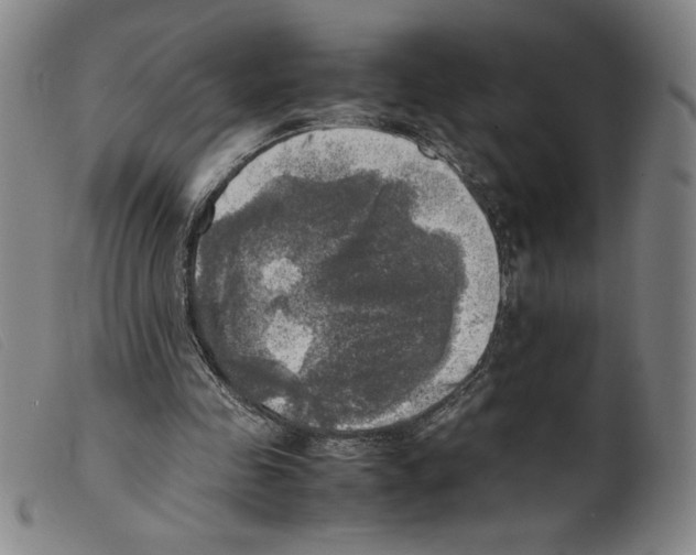 X0000098190341200805221523