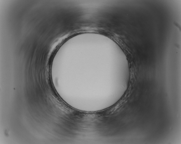 X0000098190342200805221523