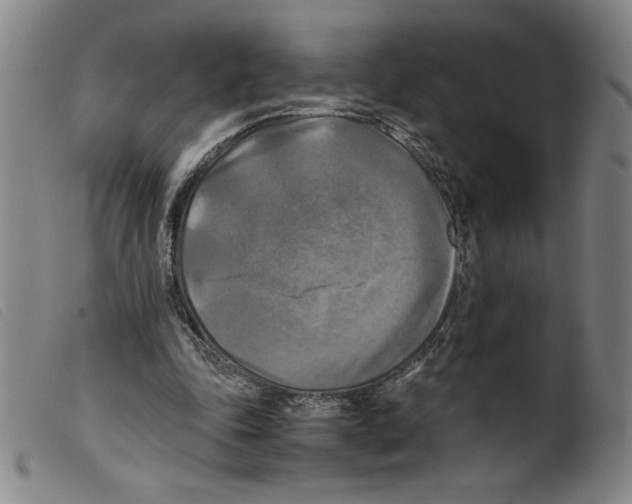 X0000098190343200805221523