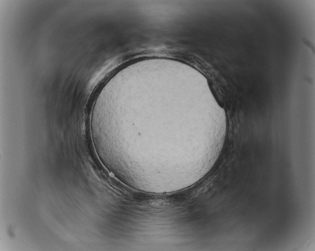 X0000098190344200805221523