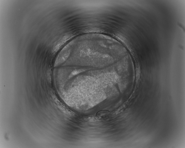 X0000098190345200805221523