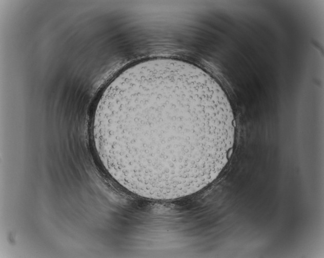 X0000098190346200805221523