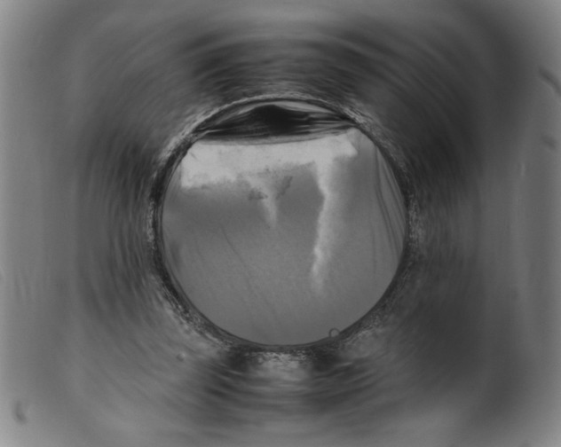 X0000098190347200805221523