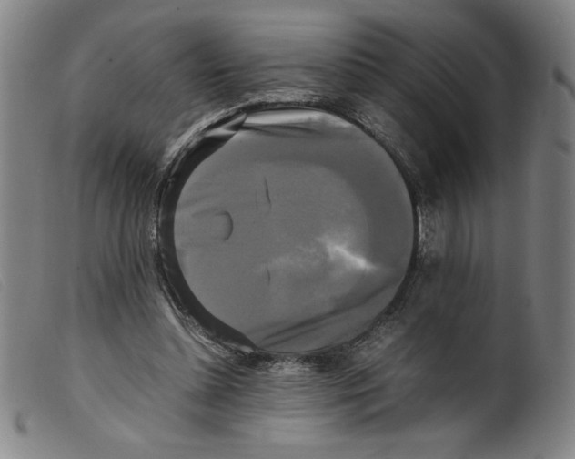 X0000098190348200805221523