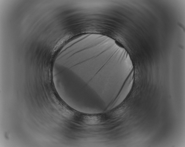 X0000098190349200805221523