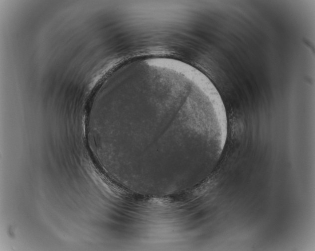 X0000098190350200805221523