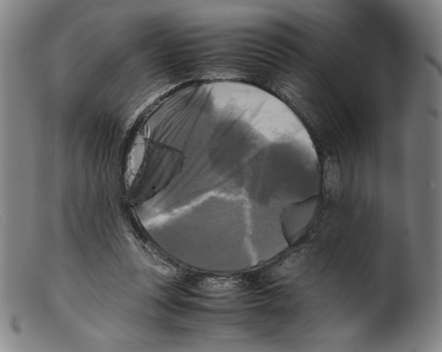 X0000098190351200805221523