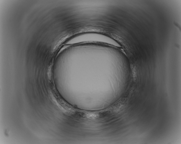X0000098190352200805221523