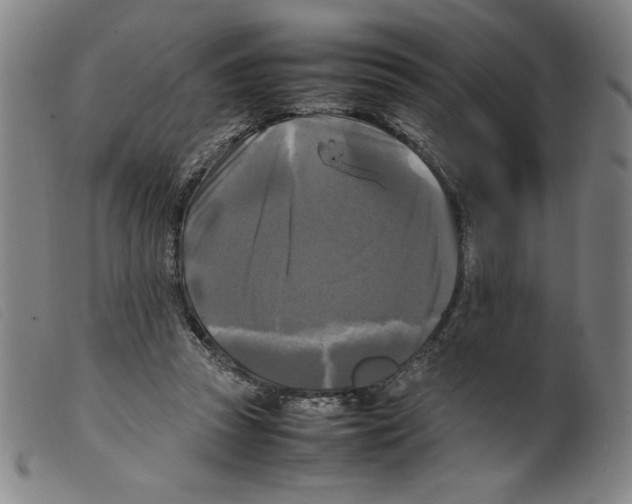 X0000098190353200805221523