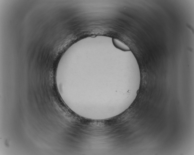 X0000098190354200805221523