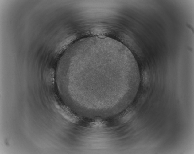 X0000098190356200805221523
