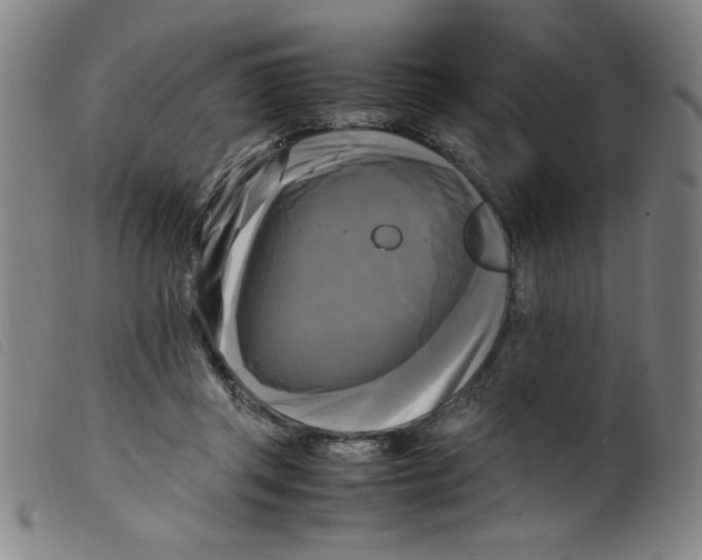 X0000098190357200805221523