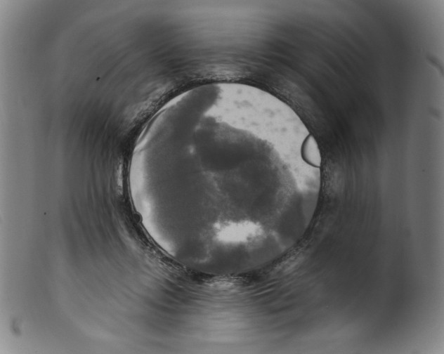 X0000098190358200805221523