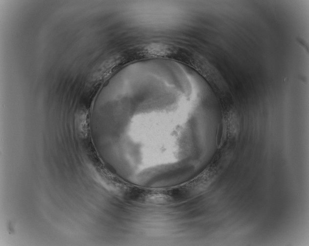 X0000098190360200805221523
