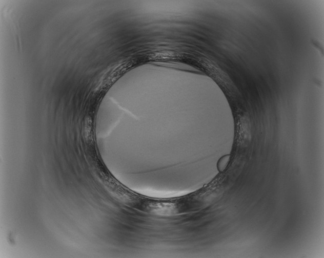 X0000098190361200805221523