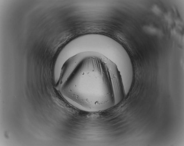 X0000098190362200805221523