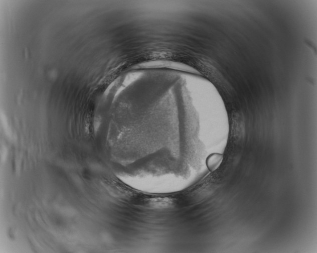 X0000098190363200805221523