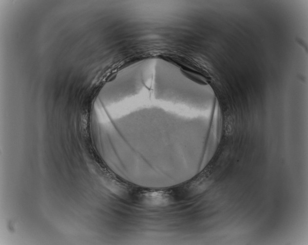 X0000098190365200805221523