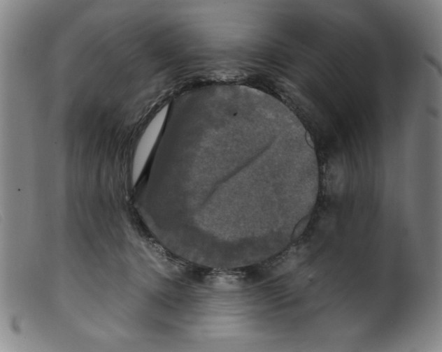 X0000098190368200805221523