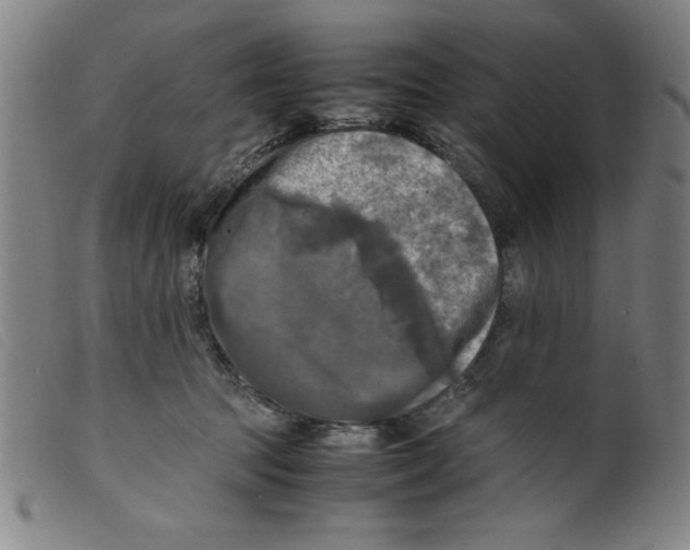 X0000098190369200805221523