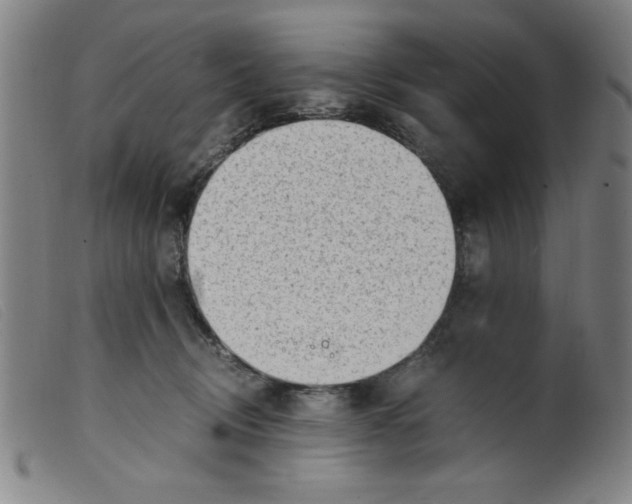 X0000098190370200805221523