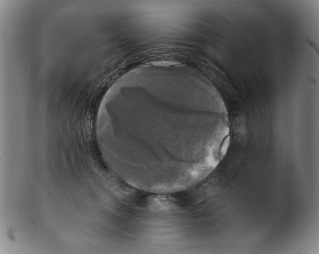 X0000098190372200805221523