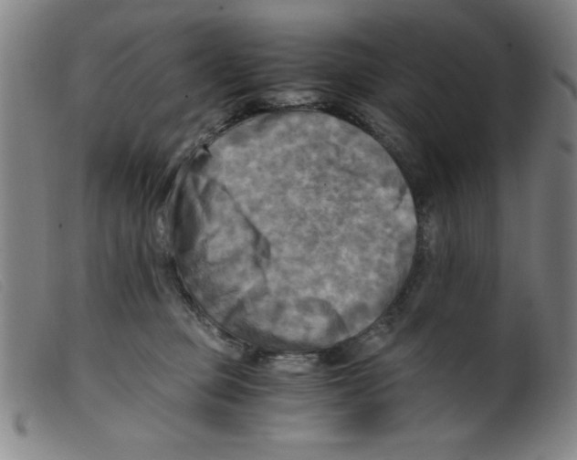 X0000098190373200805221523