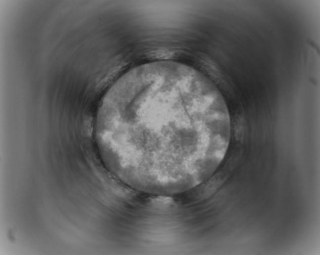 X0000098190374200805221523