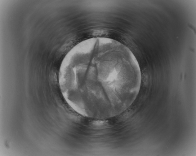 X0000098190375200805221523
