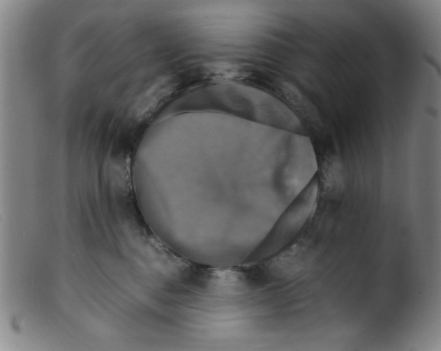 X0000098190376200805221523