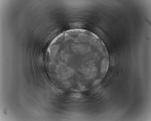 X0000098190377200805221523