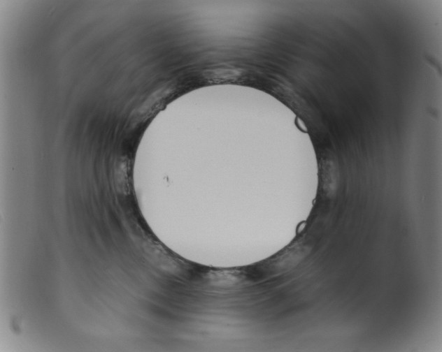 X0000098190378200805221523