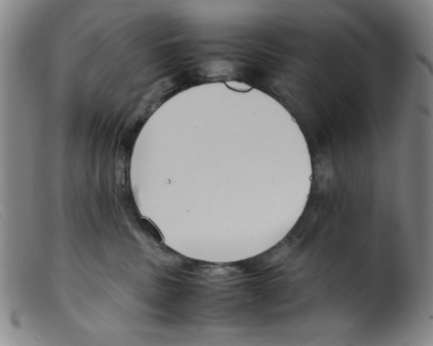 X0000098190379200805221523