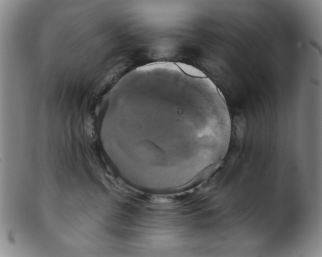 X0000098190380200805221523