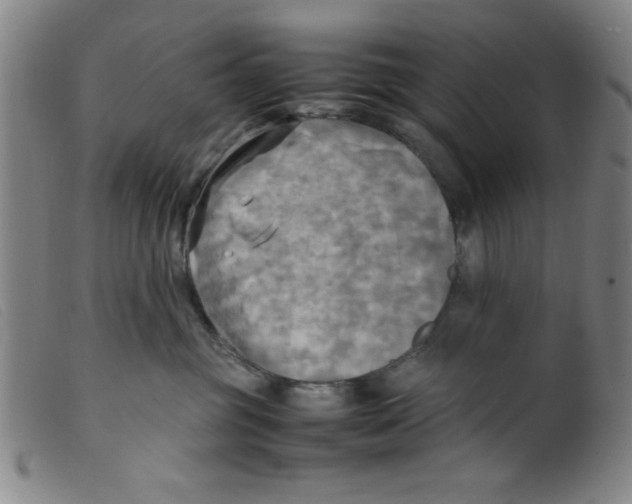 X0000098190381200805221523