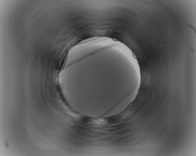 X0000098190383200805221523