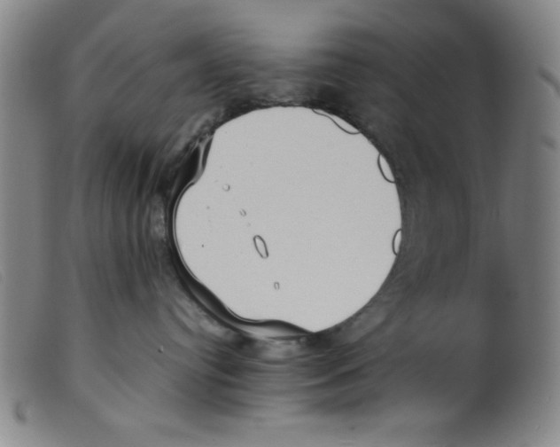 X0000098190384200805221523