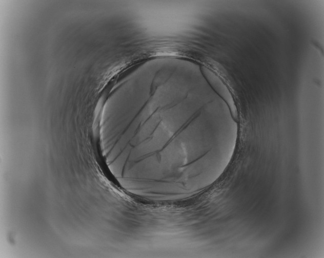X0000098190385200805221523