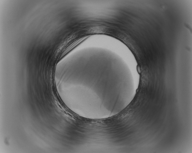 X0000098190386200805221523