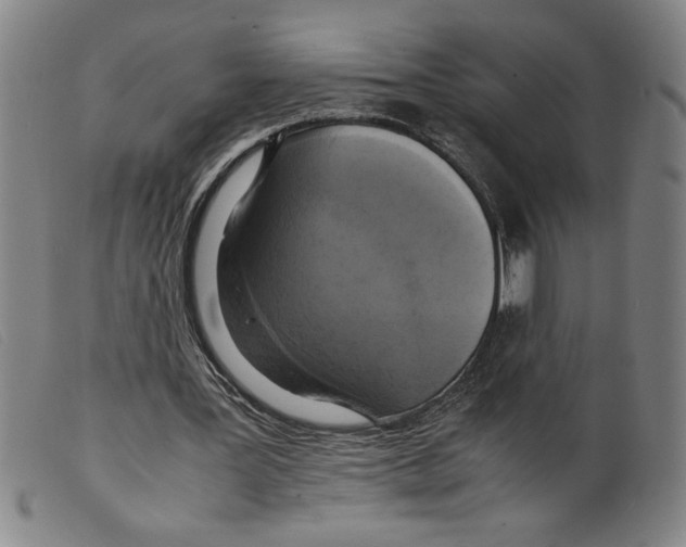 X0000098190387200805221523