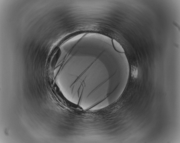 X0000098190388200805221523