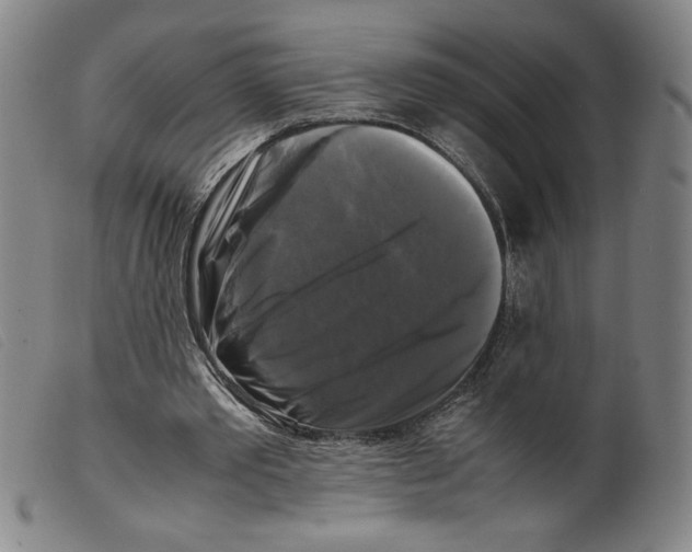 X0000098190389200805221523