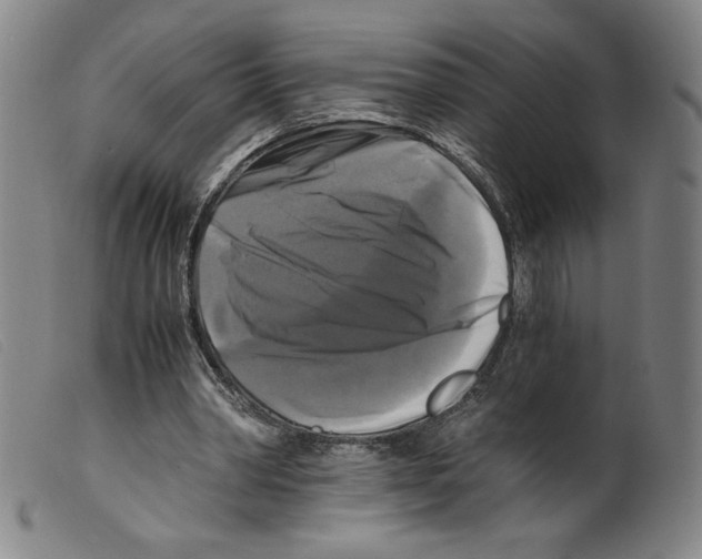 X0000098190390200805221522