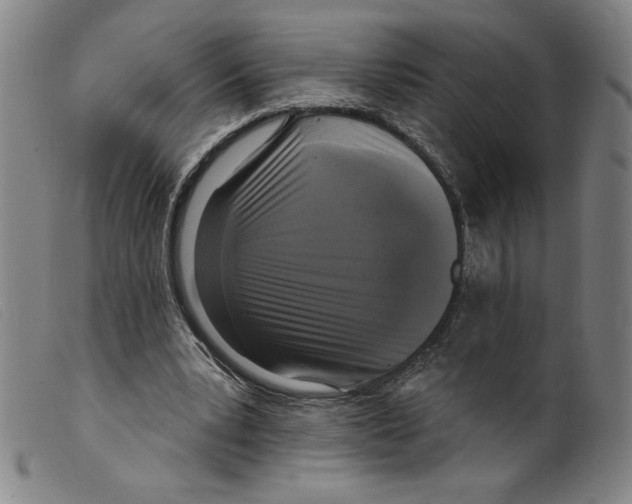X0000098190391200805221522