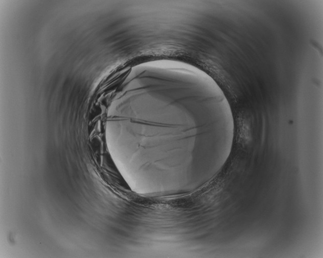X0000098190392200805221522