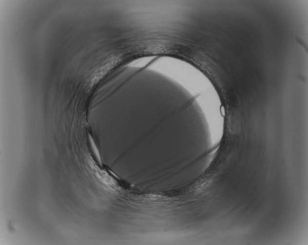 X0000098190393200805221522