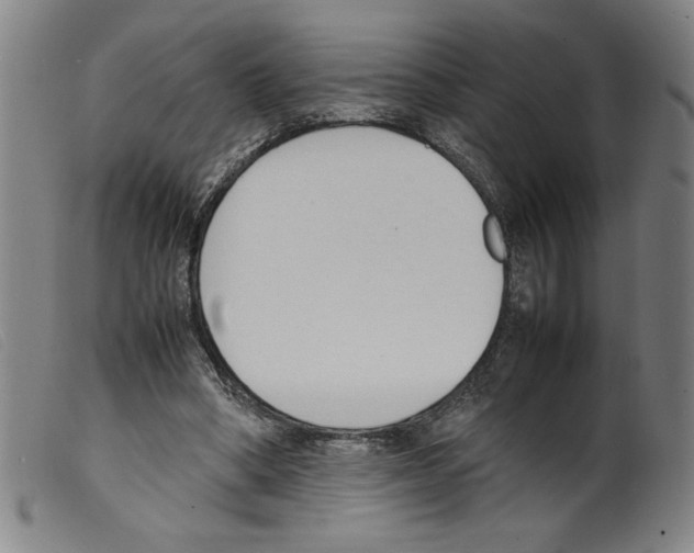 X0000098190394200805221522