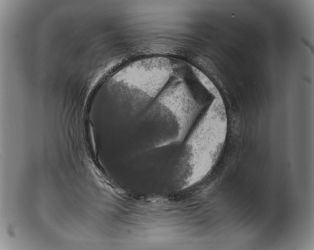 X0000098190395200805221522