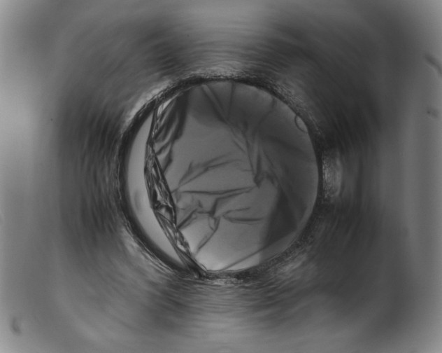 X0000098190396200805221522